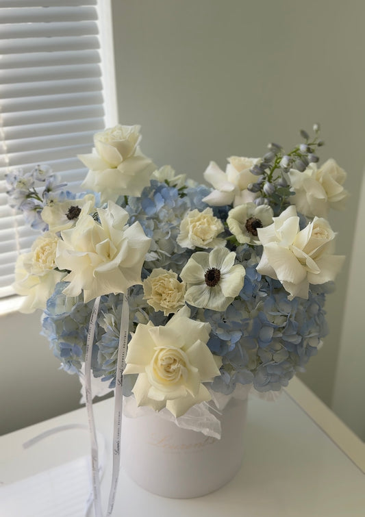 Box “Welcome to the World”