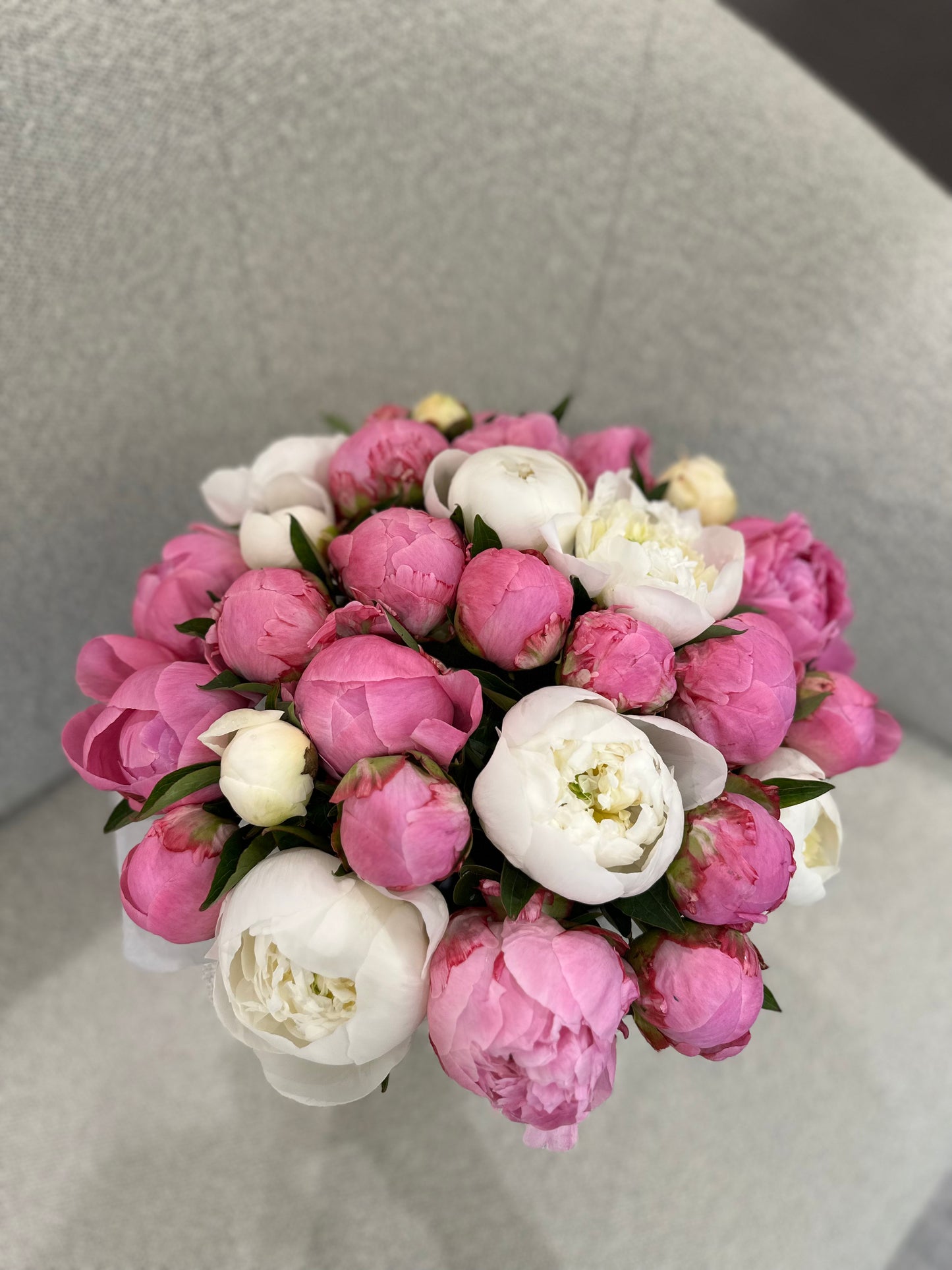 Medium Box 30 Mix Peonies