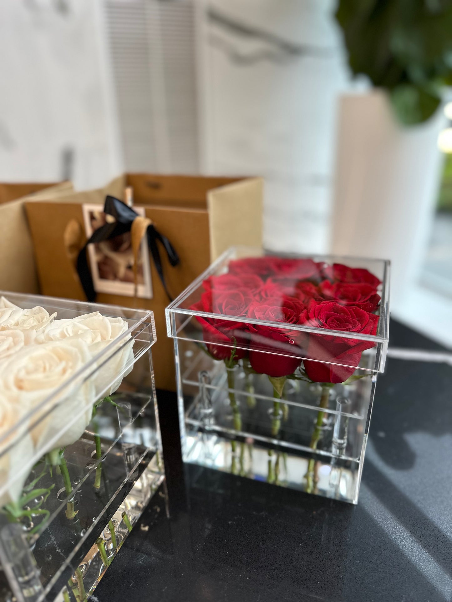 Acrylic Flower Box with real Roses (red/white)