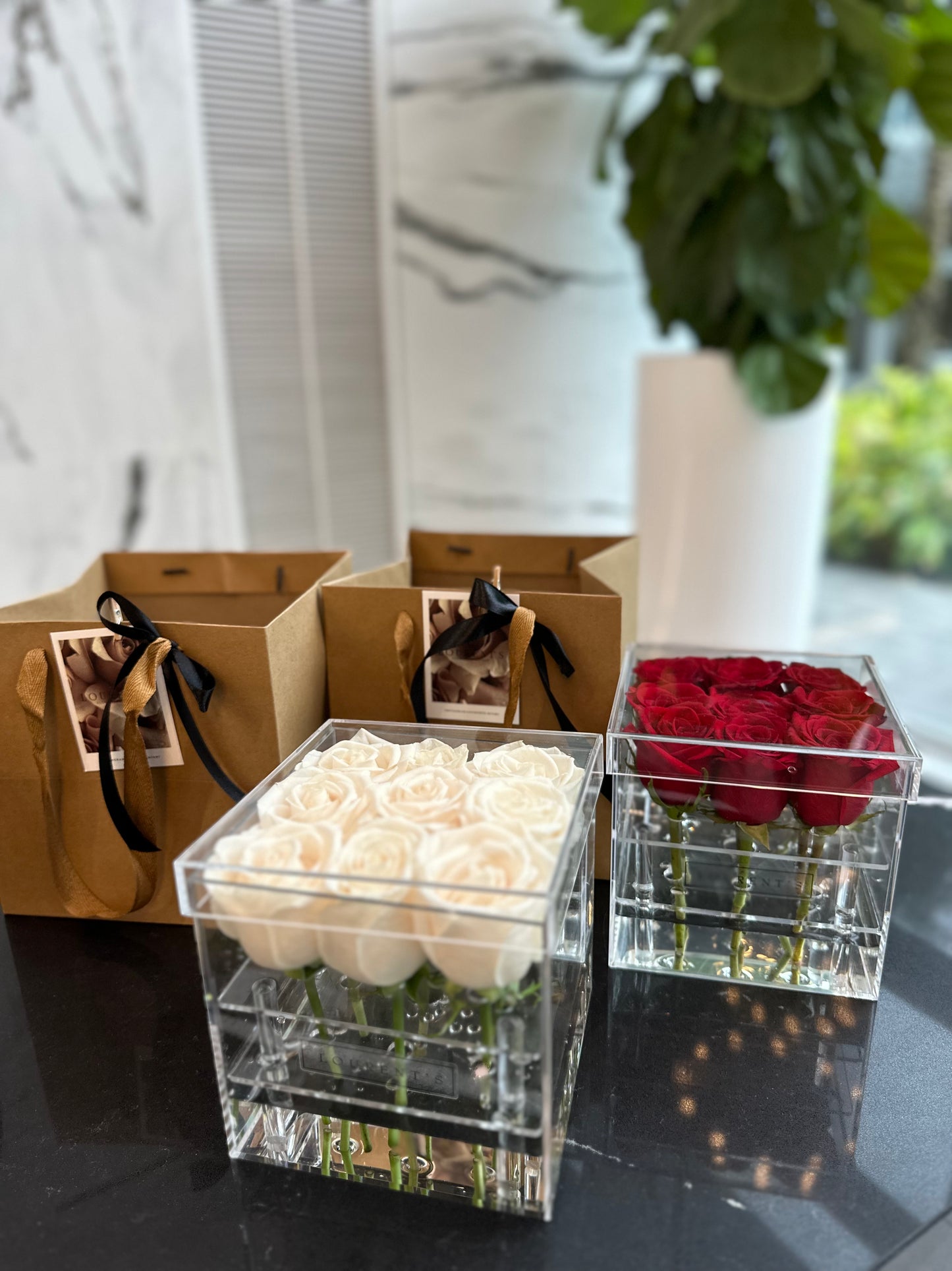 Acrylic Flower Box with real Roses (red/white)