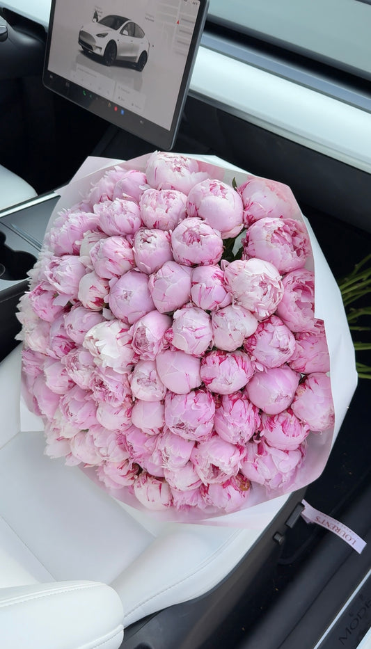 Luxury Bloom – Sarah Bernhardt 101 Peonies