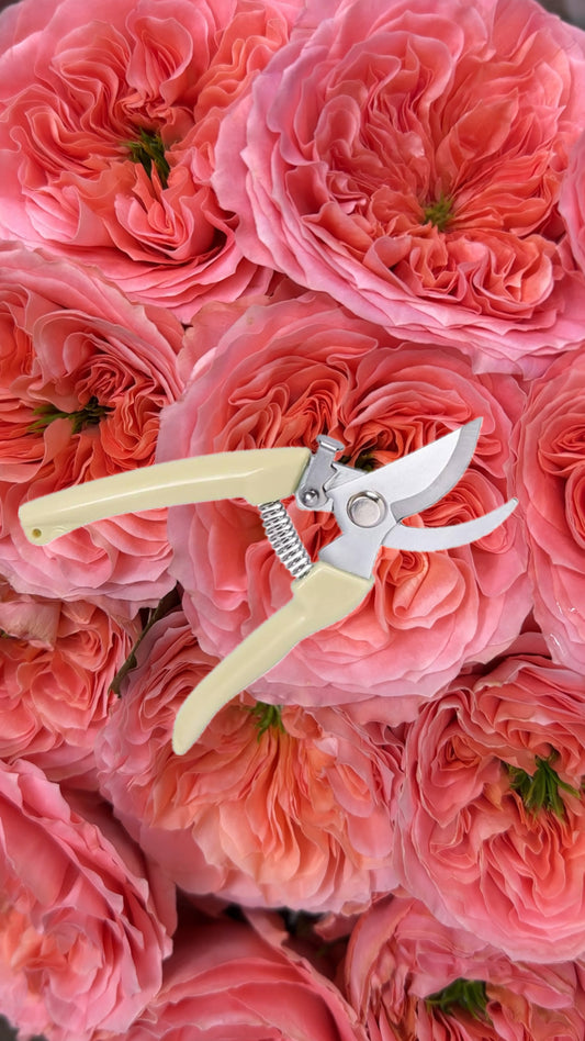 Runing Shears for Cutting Flowers