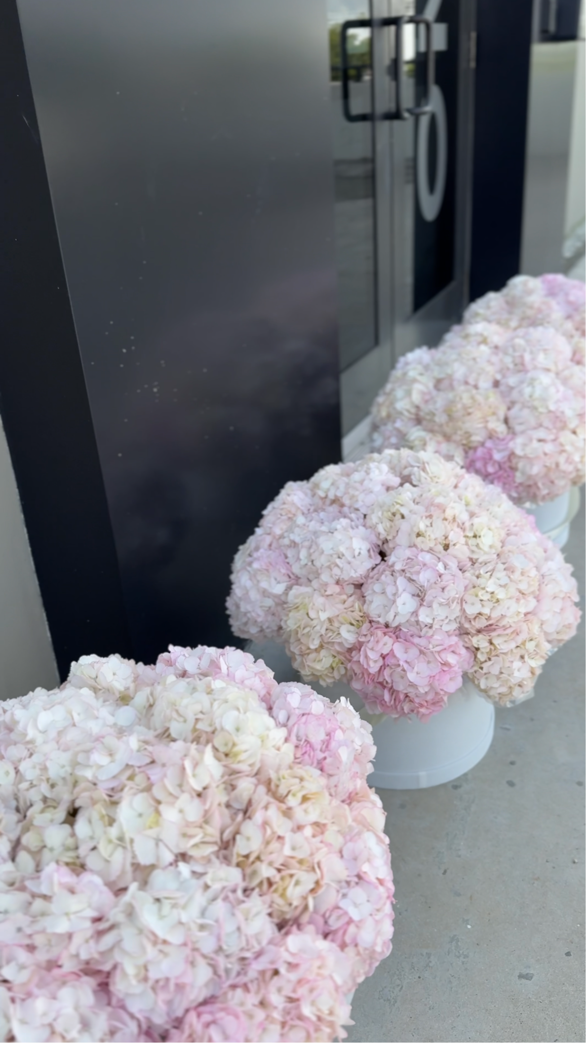 Set of 4 “Pink Cloud”
