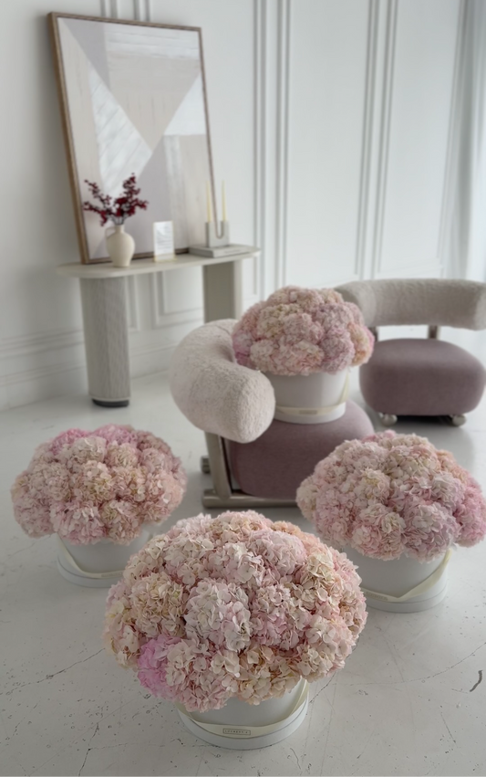 Set of 4 “Pink Cloud”