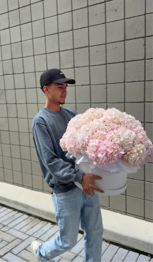 Flower box “Pink Cloud”
