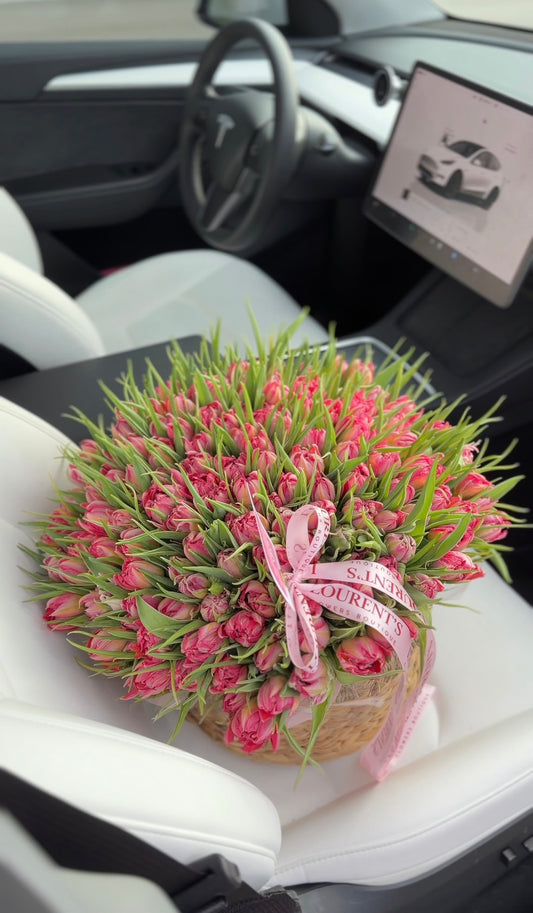 125 “Peony” Pink Tulips