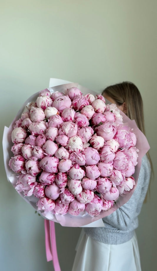 Luxury Bloom – Sarah Bernhardt 75 Peonies