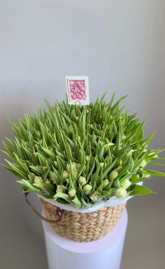 White double tulips in basket