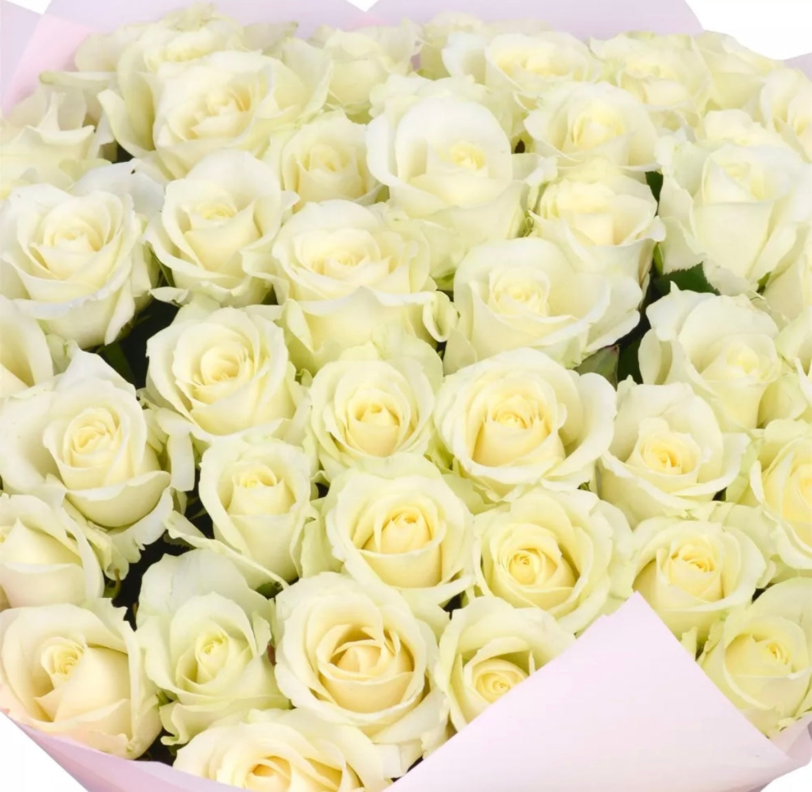 Mono Bouquet White roses