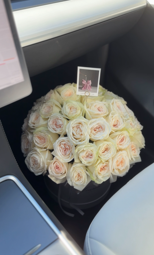 Box “O’hara Roses”