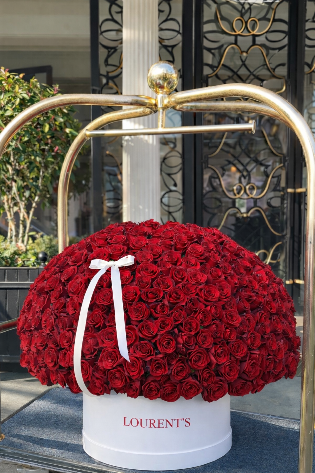 500 Red Roses Box