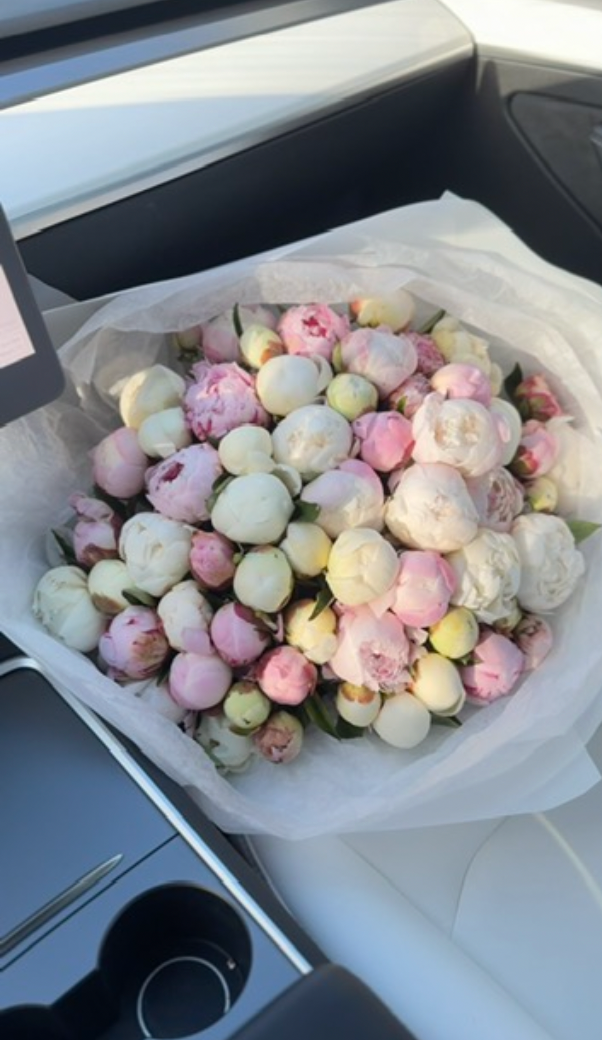 Mix of peonies (white & pink)