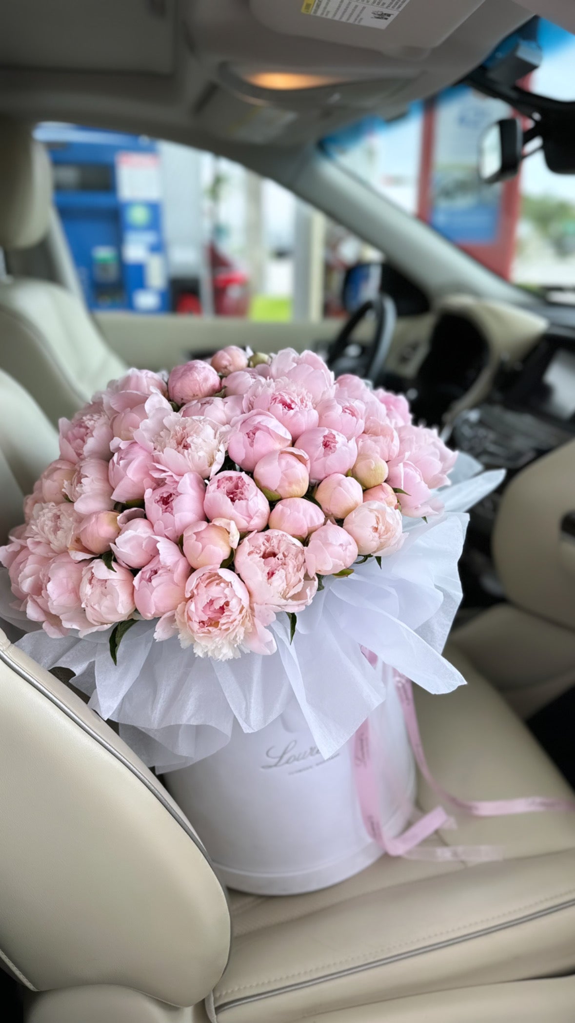 100 Pink Peonies in Box